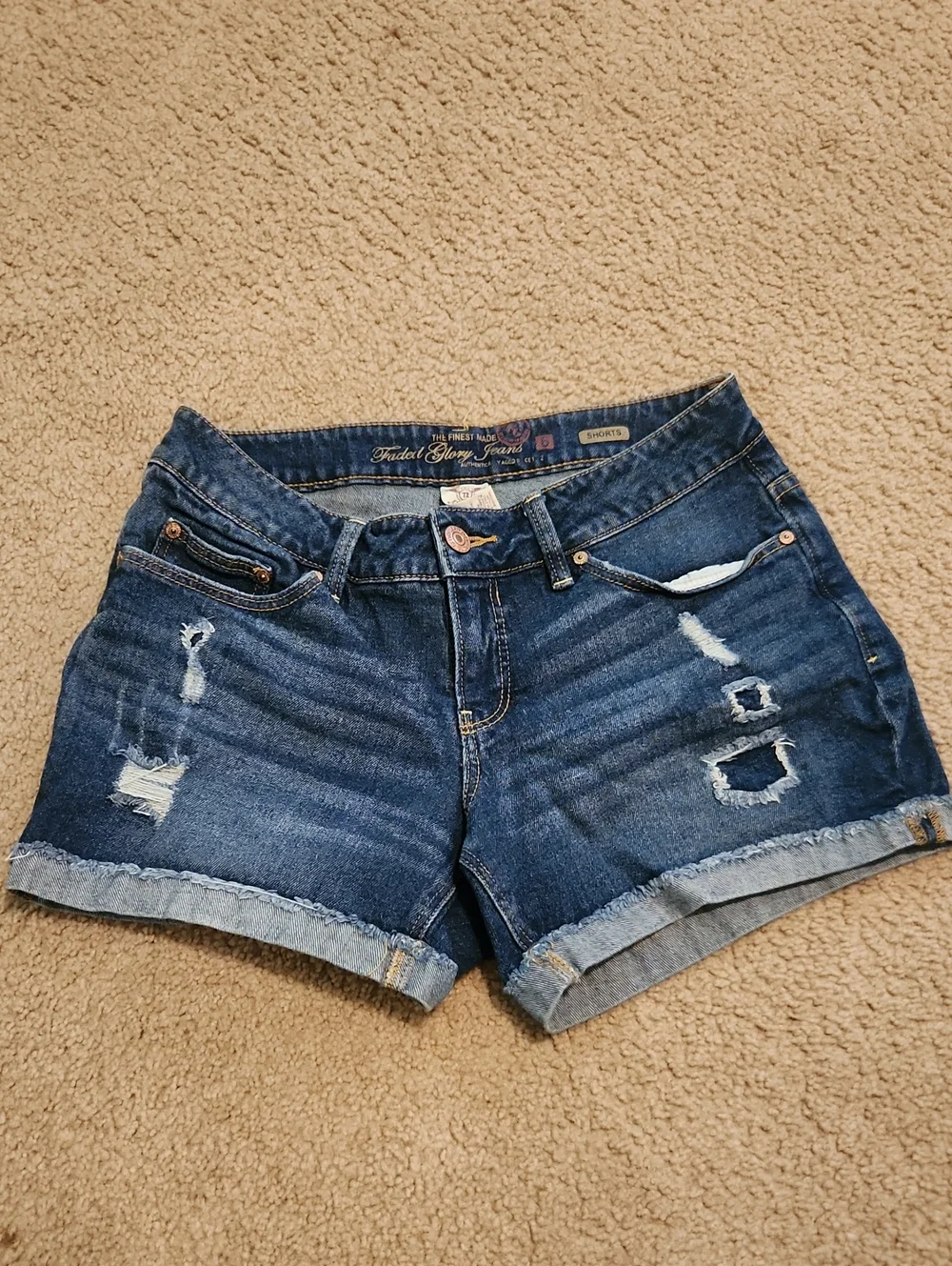 Distressed Denim Shorts